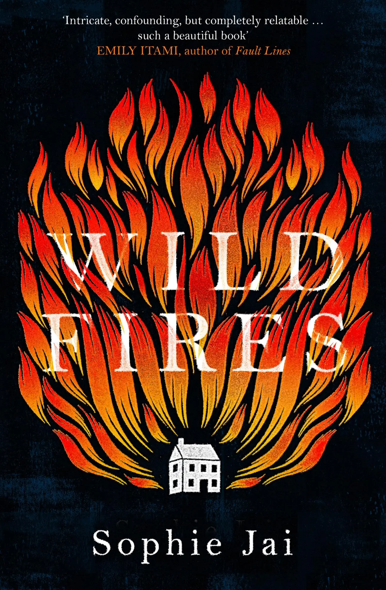 Wild Fires - Sophie Jai Taschenbuch