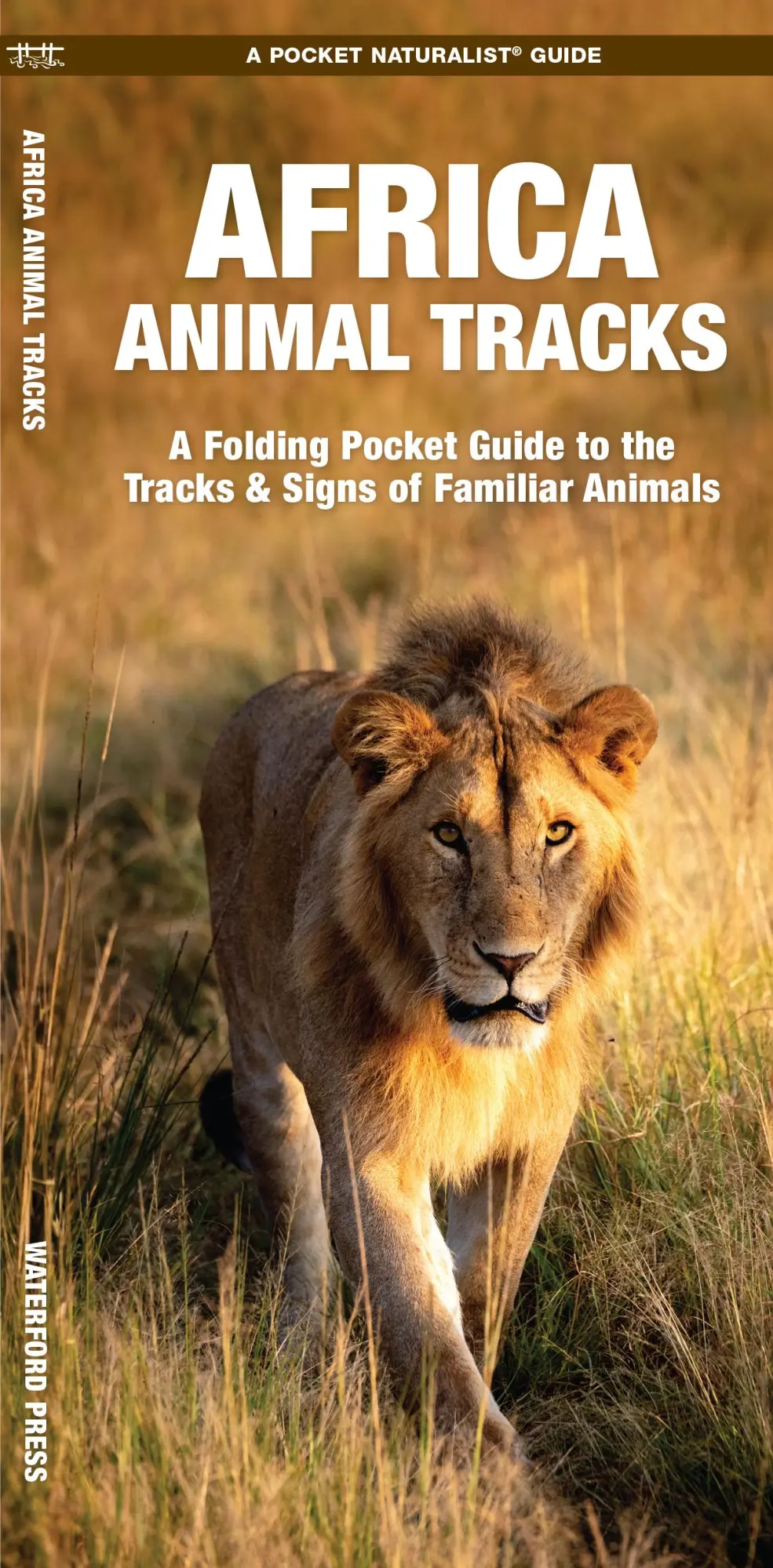 Cover: 9781583550373 | African Animal Tracks | James Kavanagh (u. a.) | Taschenbuch | 2016