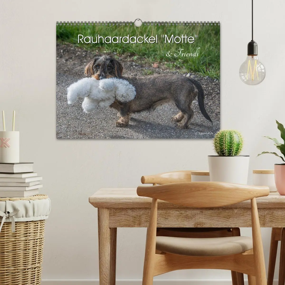 Bild: 9783457930373 | Rauhaardackel Motte &amp; Friends (Wandkalender 2026 DIN A3 quer),...