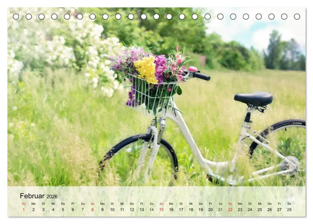Bild: 9783516020373 | Landhaus-Romantik. Die Farben des Sommers (Tischkalender 2026 DIN...