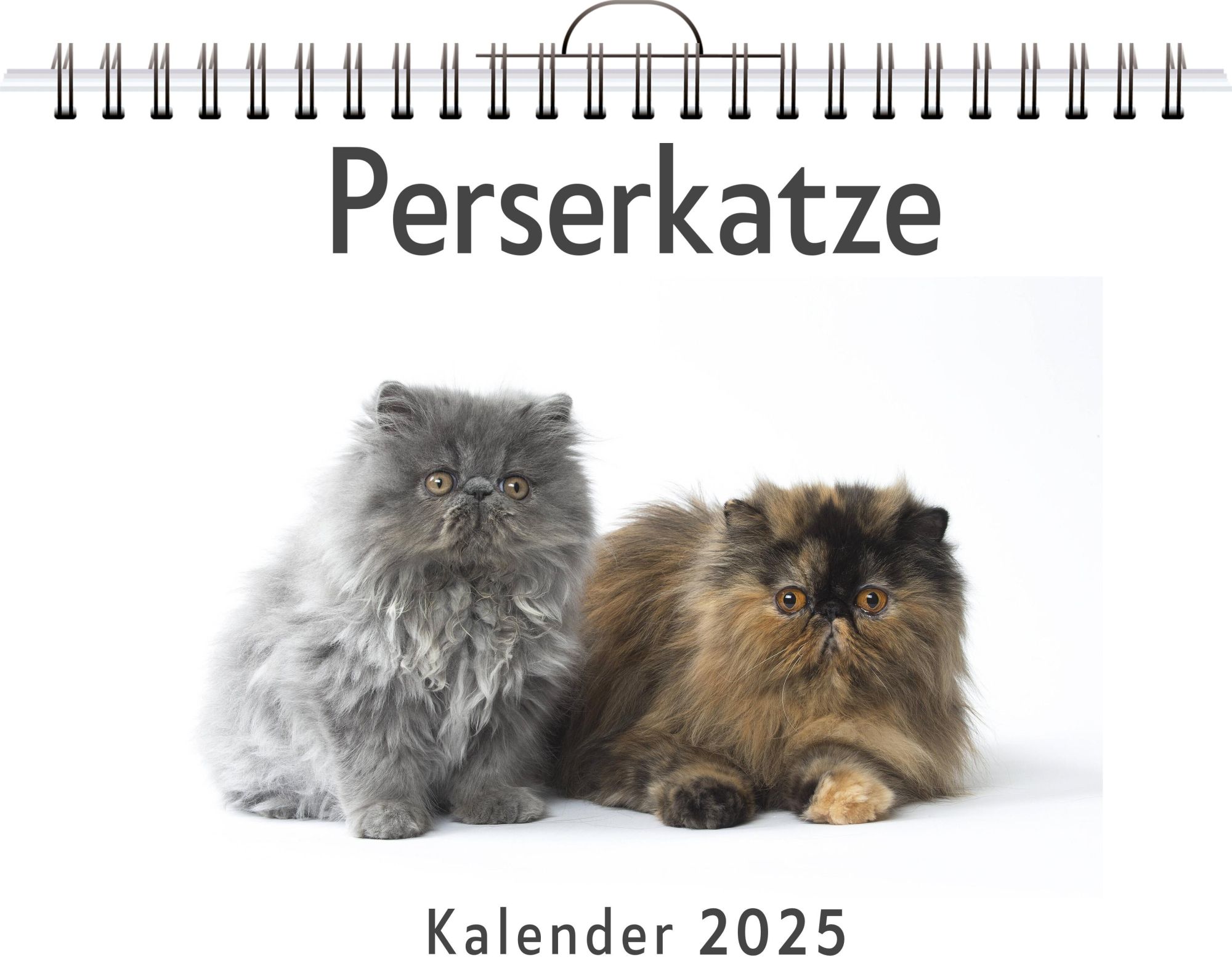 Cover: 9783759120373 | Perserkatze | Lina Maier | Kalender | Kalender | 14 S. | Deutsch