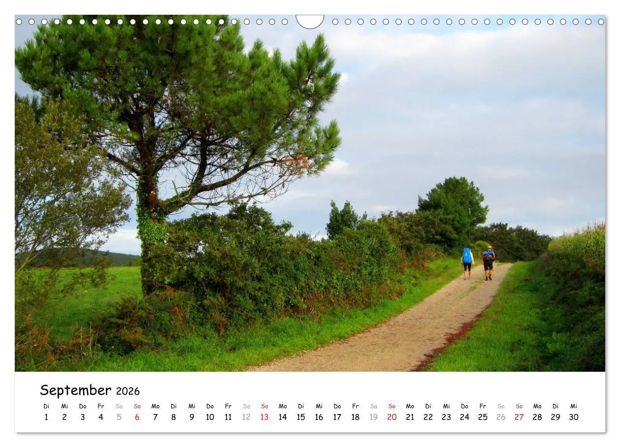 Bild: 9783516010473 | Jakobsweg - Camino Finisterre (Wandkalender 2026 DIN A3 quer),...