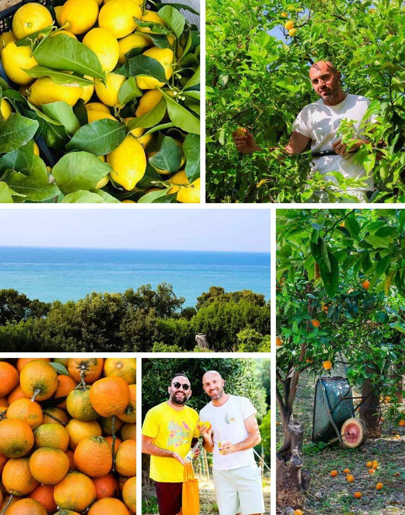 Bild: 9783690190473 | Amore per Puglia | Apuliens Küche genießen und entdecken | Lettini
