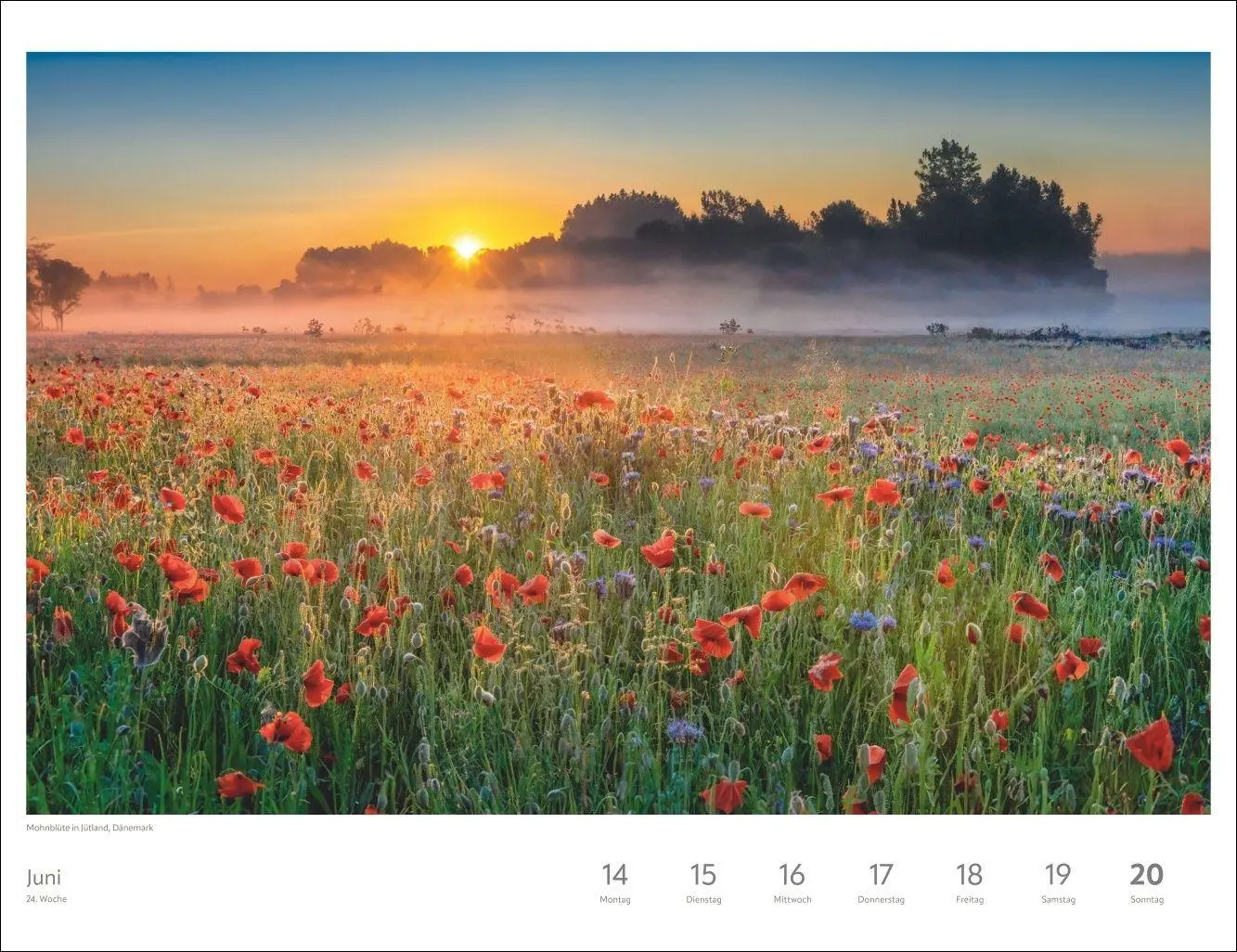 Bild: 9783840040573 | Zauber des Nordens Großer Wochenkalender 2027 - Jede Woche ein...