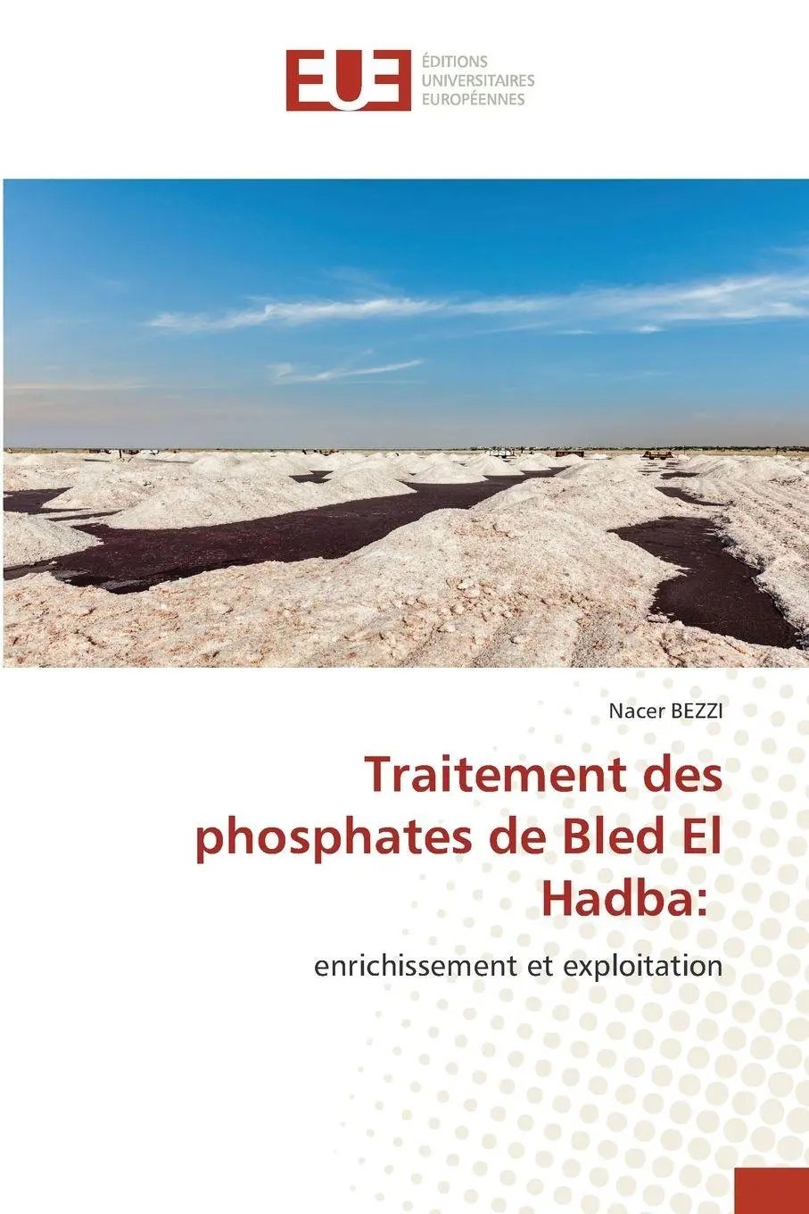 Cover: 9786208980573 | Traitement des phosphates de Bled El Hadba: | Nacer Bezzi | Buch