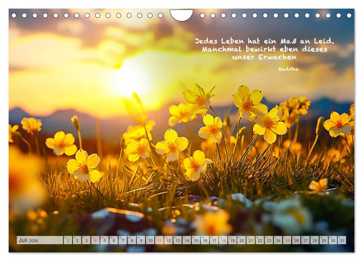 Bild: 9783457380673 | Meditation und innerer Frieden (Wandkalender 2026 DIN A4 quer),...