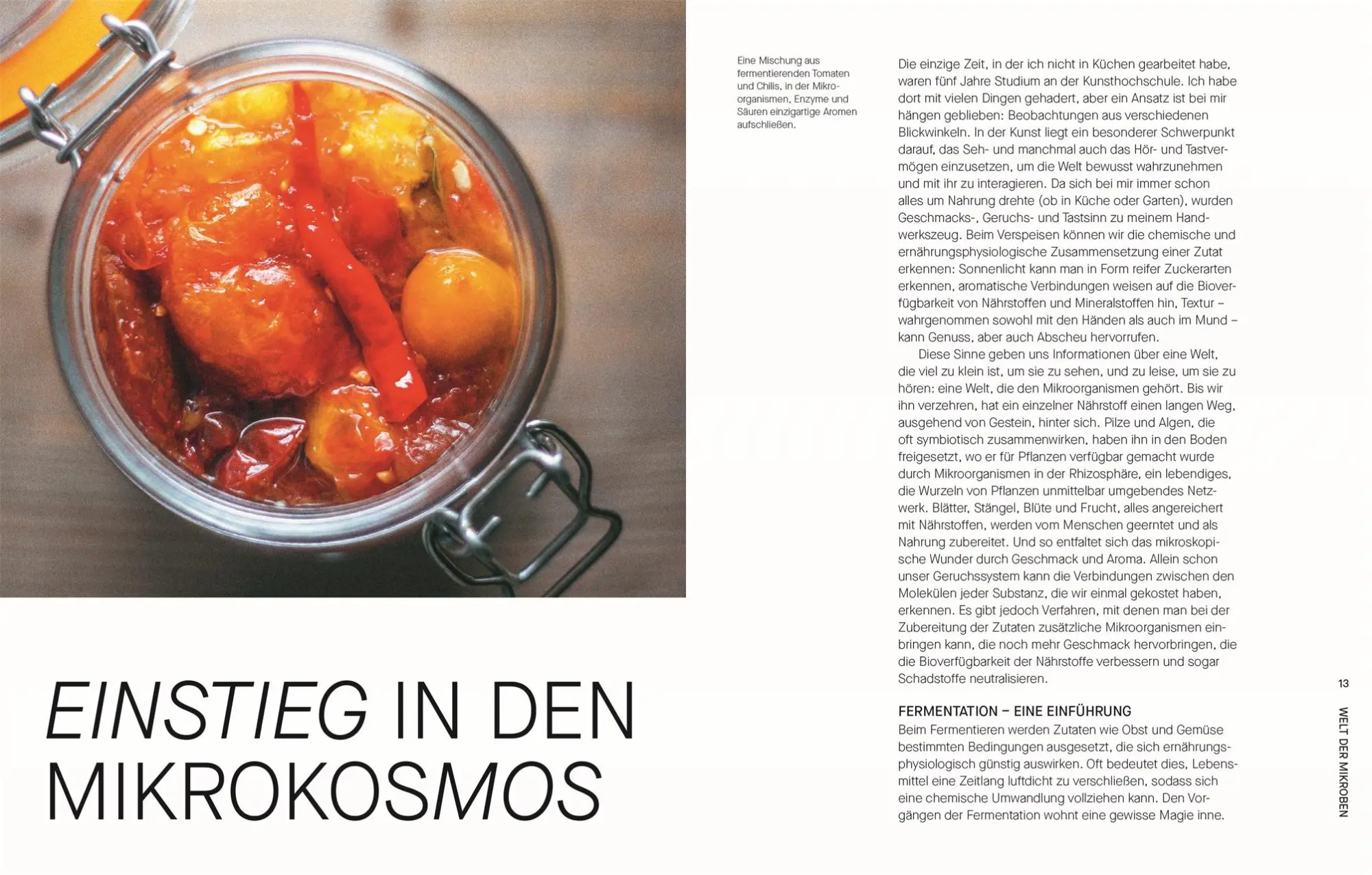 Bild: 9783831050673 | Fermentieren. Rezepte und Techniken für Geschmack, den man nicht...