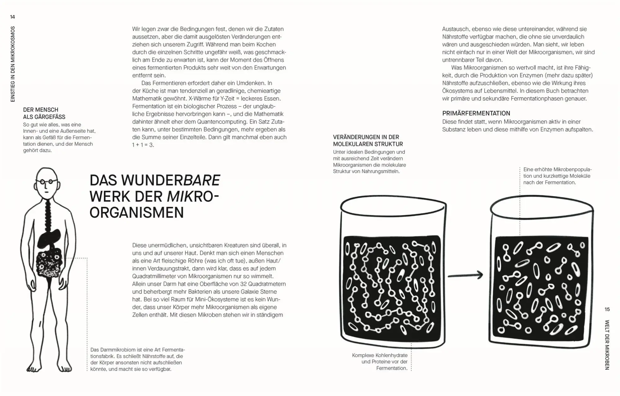 Bild: 9783831050673 | Fermentieren. Rezepte und Techniken für Geschmack, den man nicht...