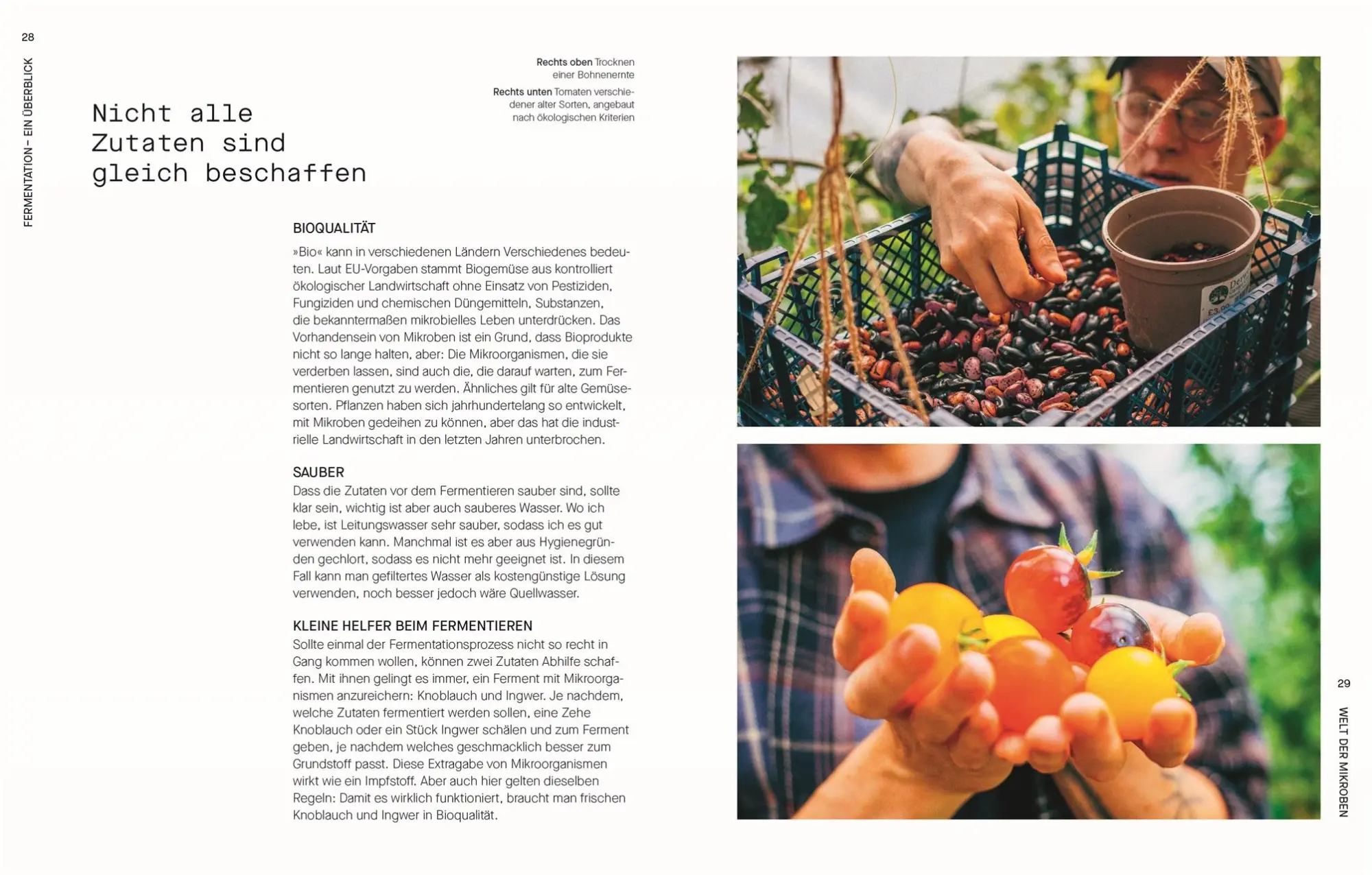 Bild: 9783831050673 | Fermentieren. Rezepte und Techniken für Geschmack, den man nicht...