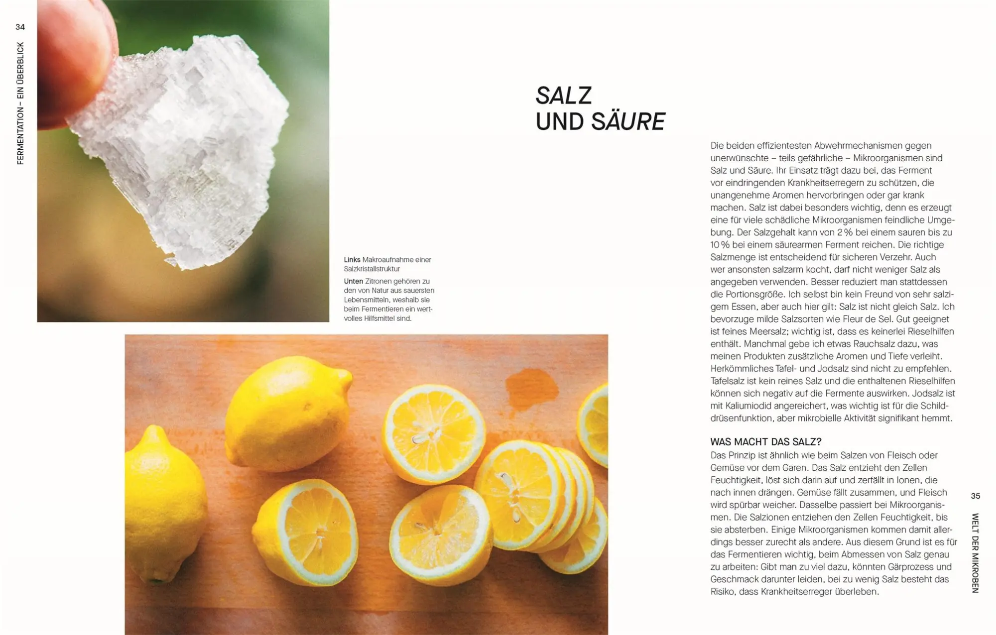 Bild: 9783831050673 | Fermentieren. Rezepte und Techniken für Geschmack, den man nicht...