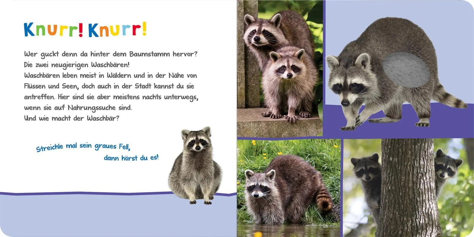 Bild: 9783845840673 | Hör mal rein, wer kann das sein? - Kuschelige Tiere | Buch | 12 S.