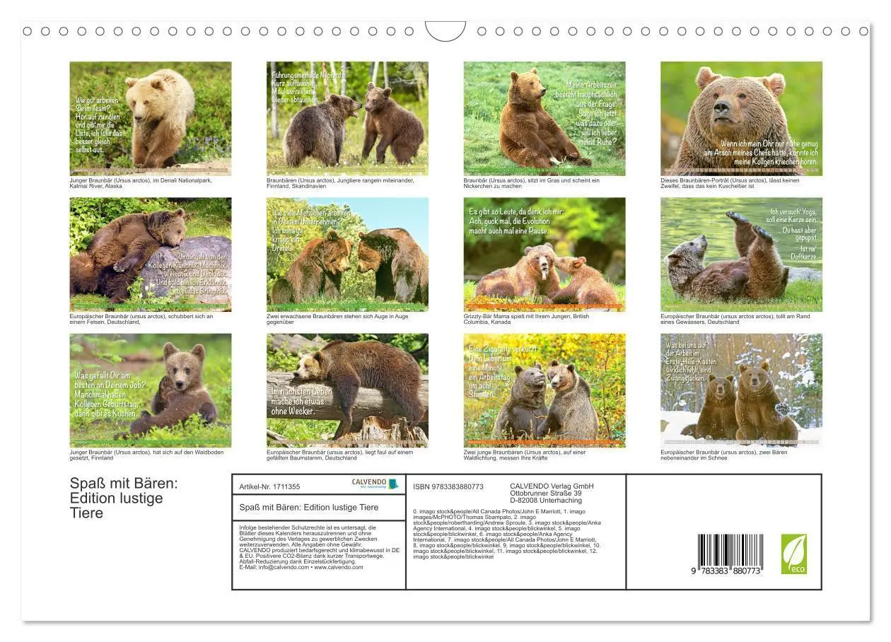 Bild: 9783383880773 | Spaß mit Bären: Edition lustige Tiere (Wandkalender 2025 DIN A3...