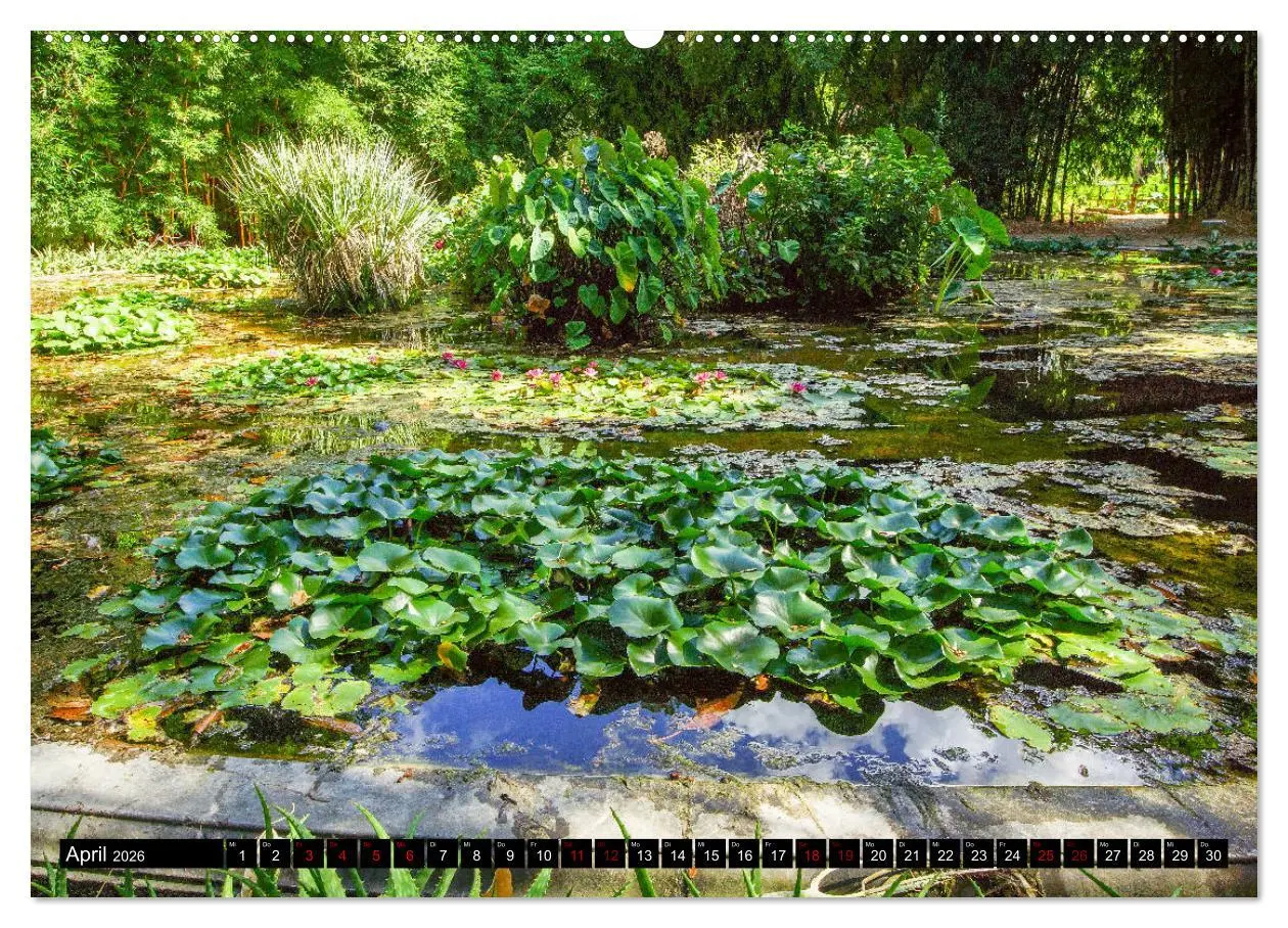 Bild: 9783457750773 | Botanischer Garten Palermo (hochwertiger Premium Wandkalender 2026...