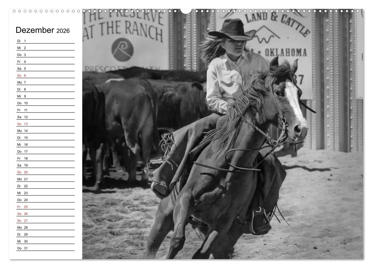 Bild: 9783457990773 | Leidenschaft Pferdesport - Impressionen (Wandkalender 2026 DIN A2...