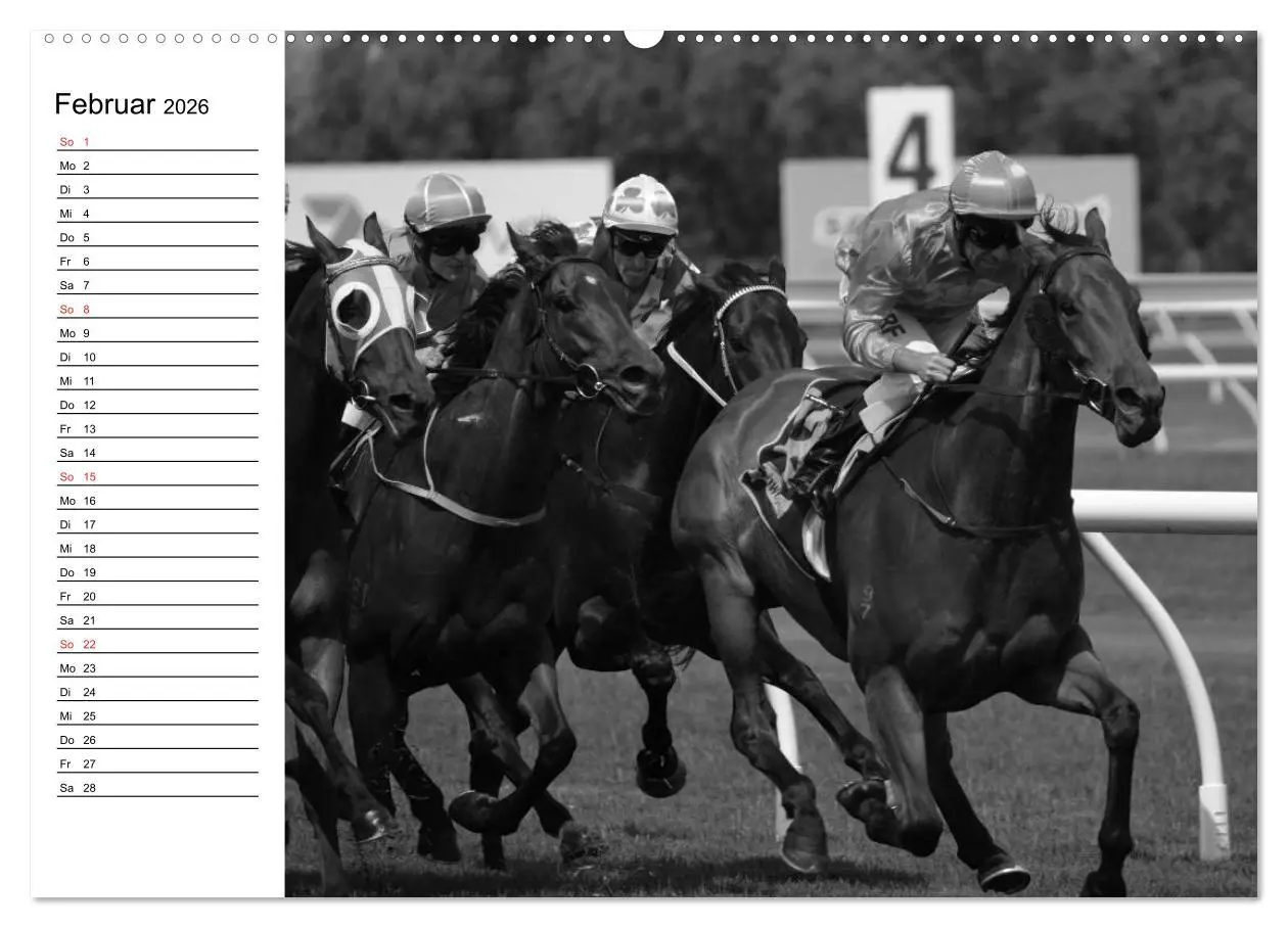 Bild: 9783457990773 | Leidenschaft Pferdesport - Impressionen (Wandkalender 2026 DIN A2...