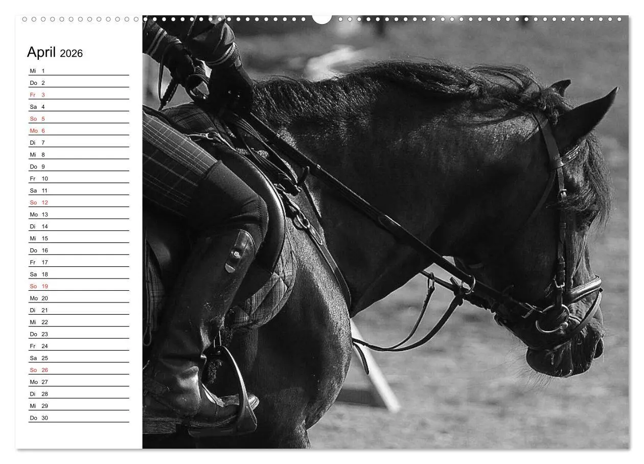 Bild: 9783457990773 | Leidenschaft Pferdesport - Impressionen (Wandkalender 2026 DIN A2...
