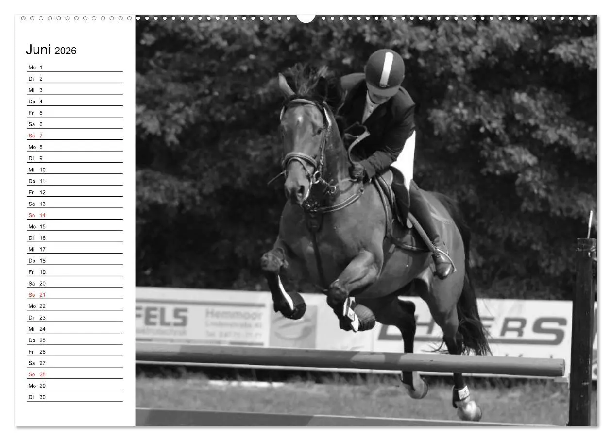 Bild: 9783457990773 | Leidenschaft Pferdesport - Impressionen (Wandkalender 2026 DIN A2...