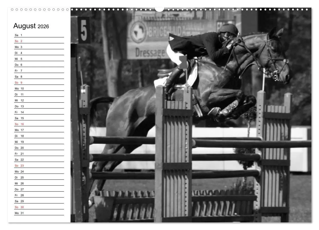 Bild: 9783457990773 | Leidenschaft Pferdesport - Impressionen (Wandkalender 2026 DIN A2...
