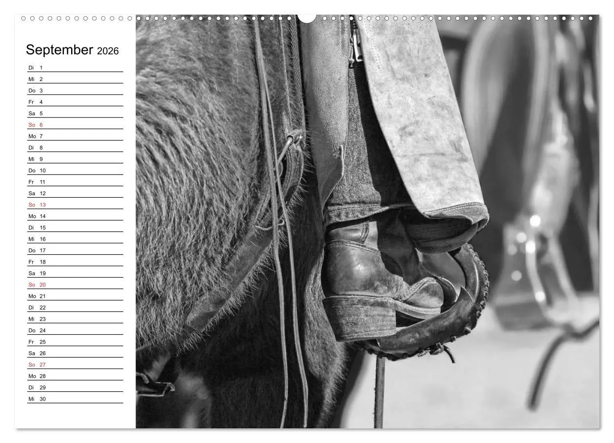 Bild: 9783457990773 | Leidenschaft Pferdesport - Impressionen (Wandkalender 2026 DIN A2...