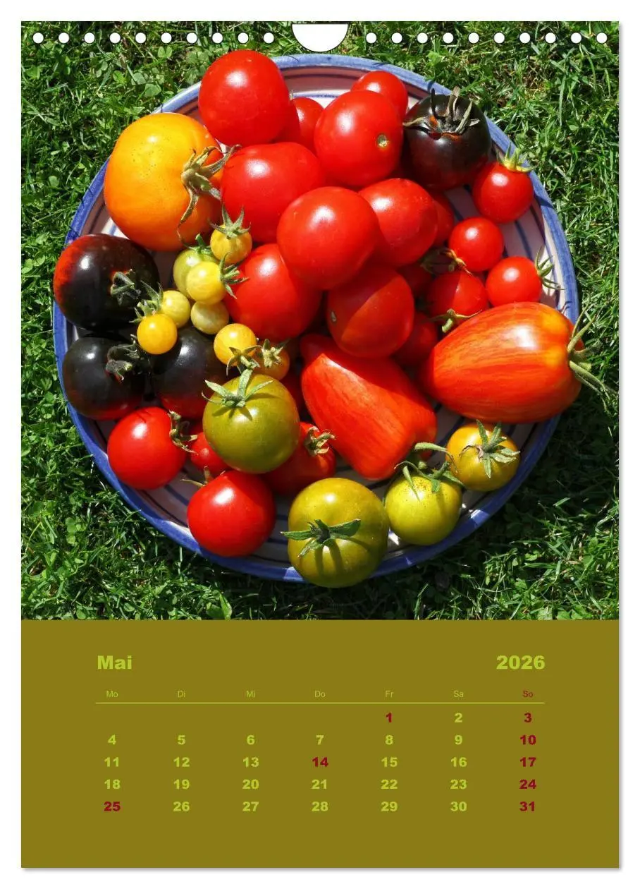 Bild: 9783516460773 | Tomaten - Alles BIO! (Wandkalender 2026 DIN A4 hoch), CALVENDO...