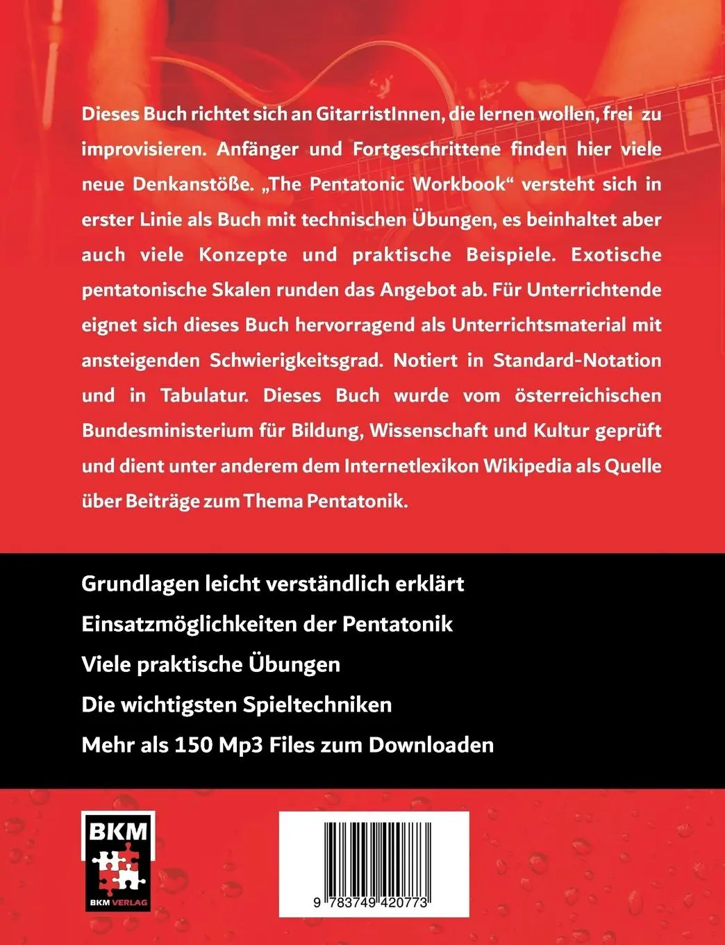 Rückseite: 9783749420773 | Perfect Guitar - The Pentatonic Workbook | Bernd Kofler | Taschenbuch
