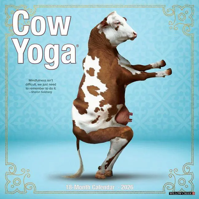 Cover: 9781549250873 | Cow Yoga 2026 Wall Calendar | Willow Creek Press | Kalender | Englisch