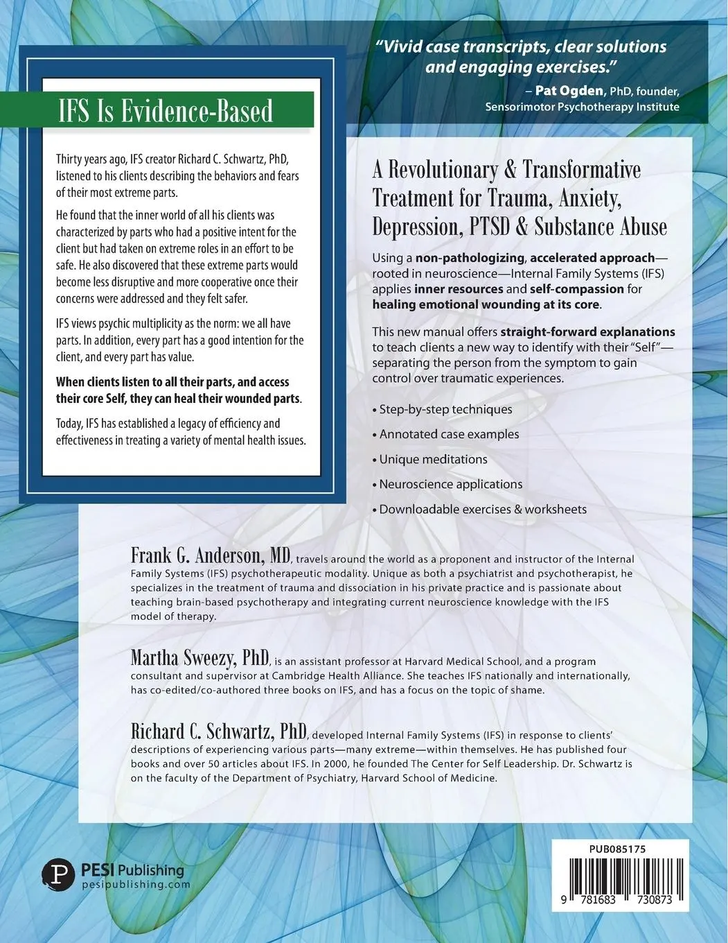 Rückseite: 9781683730873 | Internal Family Systems Skills Training Manual | Anderson (u. a.)
