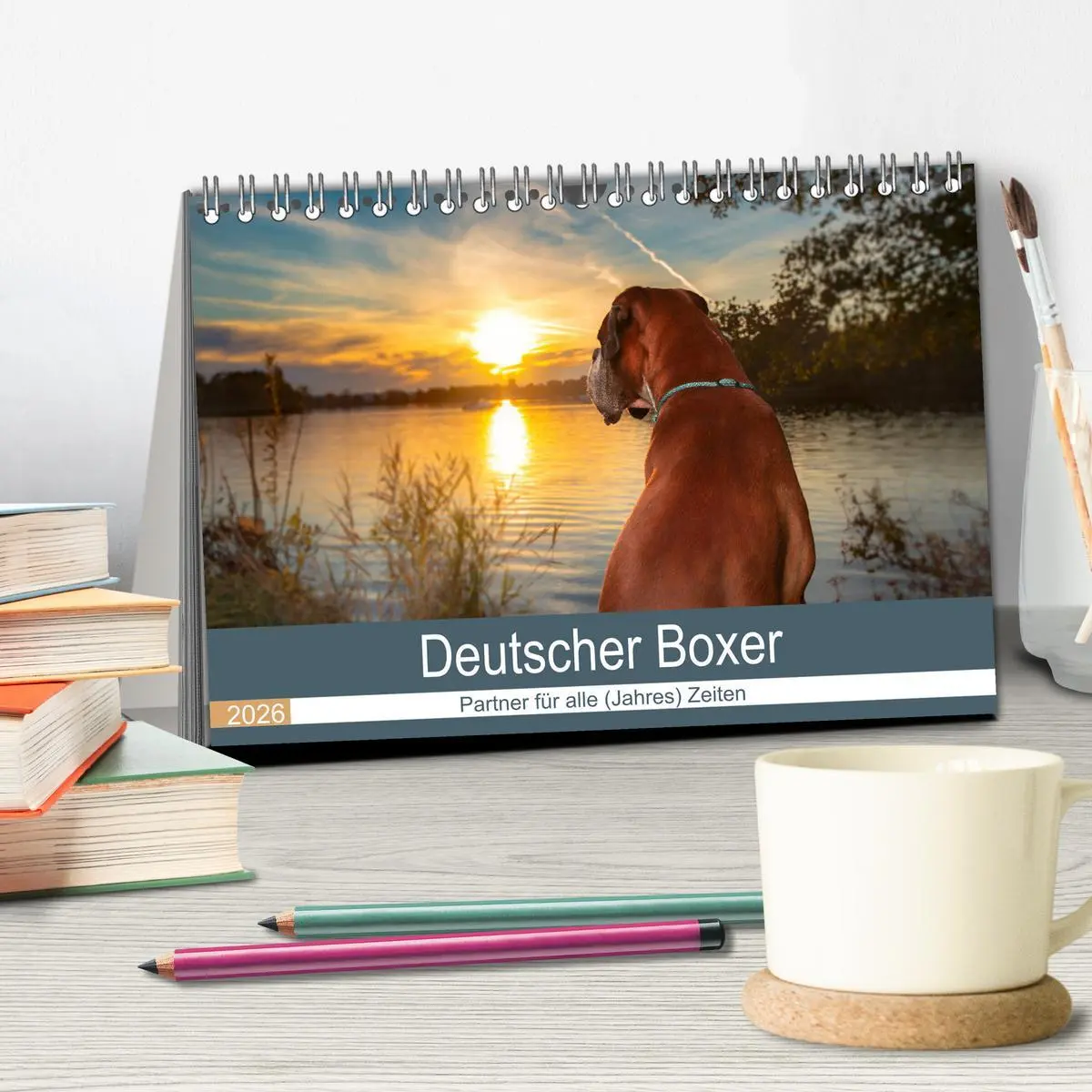 Bild: 9783457670873 | Deutscher Boxer (Tischkalender 2026 DIN A5 quer), CALVENDO...