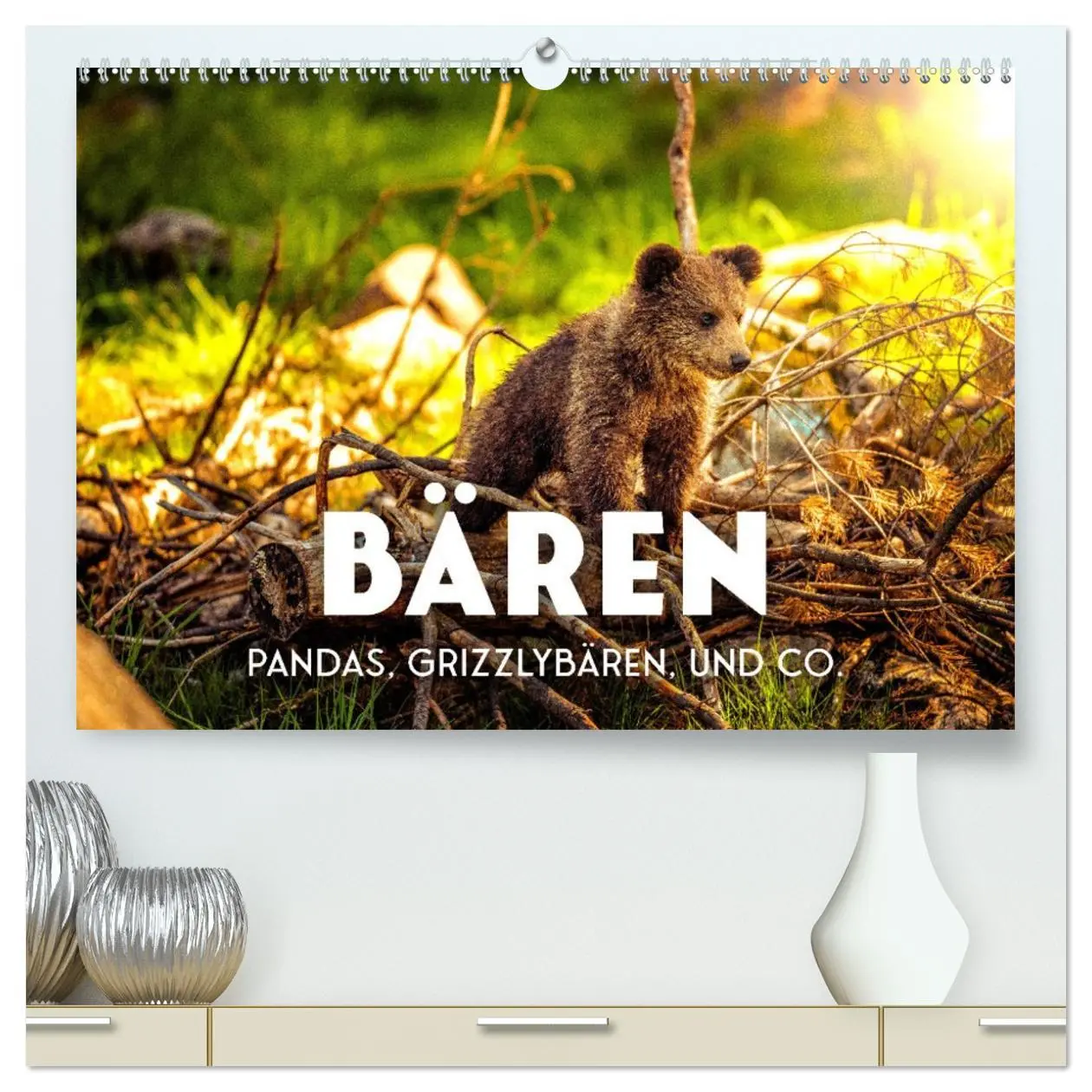 Cover: 9783457420973 | Bären - Pandas, Grizzlybären und Co. (hochwertiger Premium...