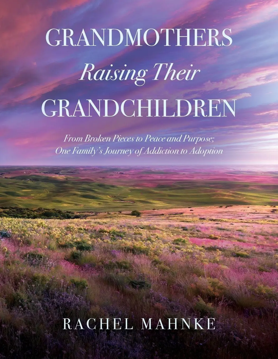 Cover: 9798885900973 | Grandmothers Raising Their Grandchildren | Rachel Mahnke | Taschenbuch