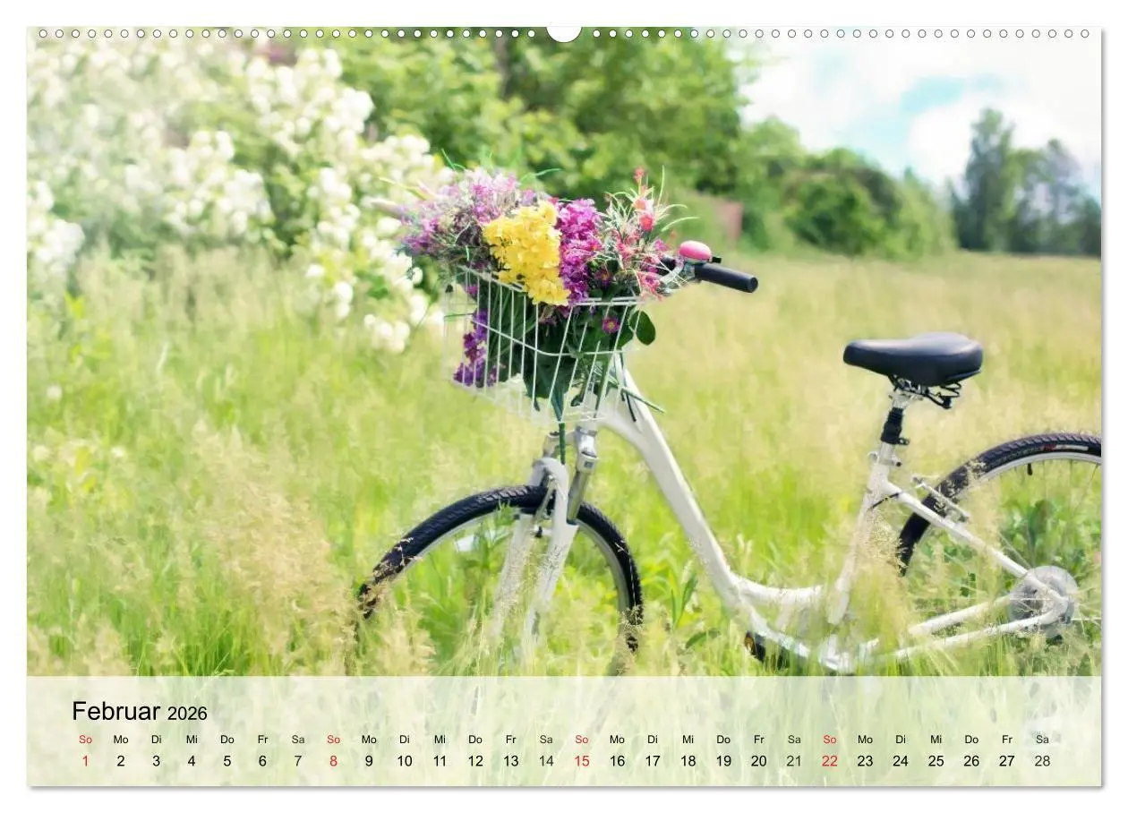 Bild: 9783516021073 | Landhaus-Romantik. Die Farben des Sommers (Wandkalender 2026 DIN A2...