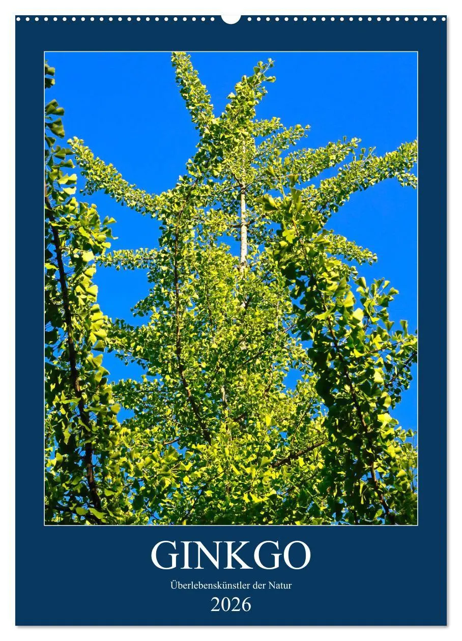 Cover: 9783516401073 | Ginkgo (Wandkalender 2026 DIN A2 hoch), CALVENDO Monatskalender | 2026