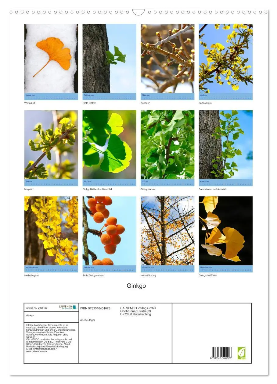 Bild: 9783516401073 | Ginkgo (Wandkalender 2026 DIN A2 hoch), CALVENDO Monatskalender | 2026