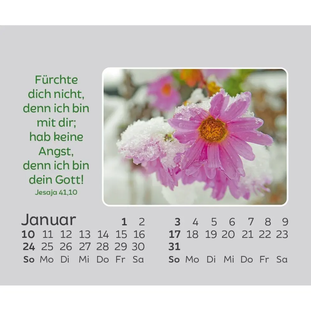 Bild: 9783754861073 | Freude für jeden Tag 2027 | Kalender | Spiralbindung | 14 S. | Deutsch