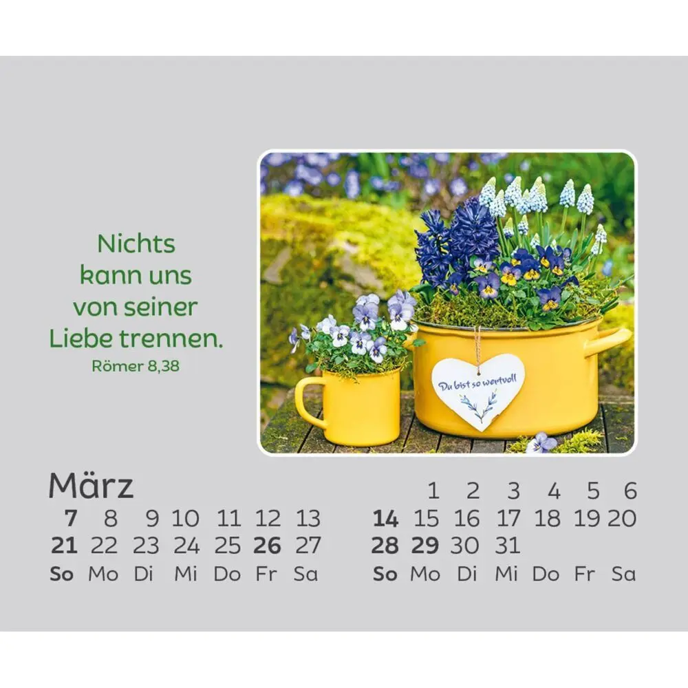 Bild: 9783754861073 | Freude für jeden Tag 2027 | Kalender | Spiralbindung | 14 S. | Deutsch