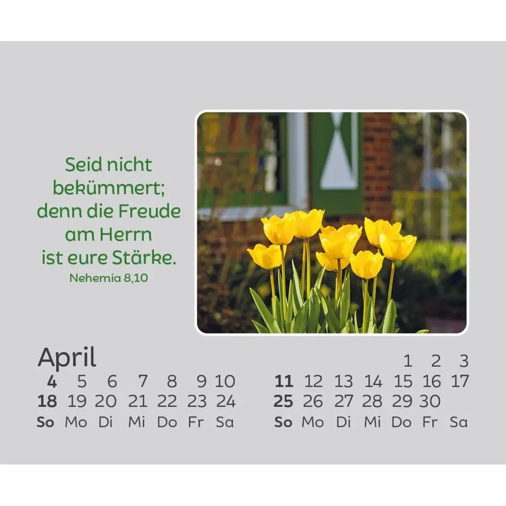 Bild: 9783754861073 | Freude für jeden Tag 2027 | Kalender | Spiralbindung | 14 S. | Deutsch