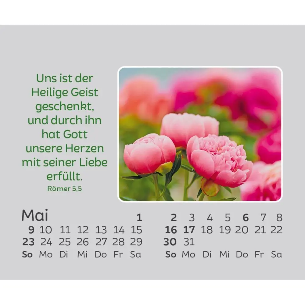 Bild: 9783754861073 | Freude für jeden Tag 2027 | Kalender | Spiralbindung | 14 S. | Deutsch