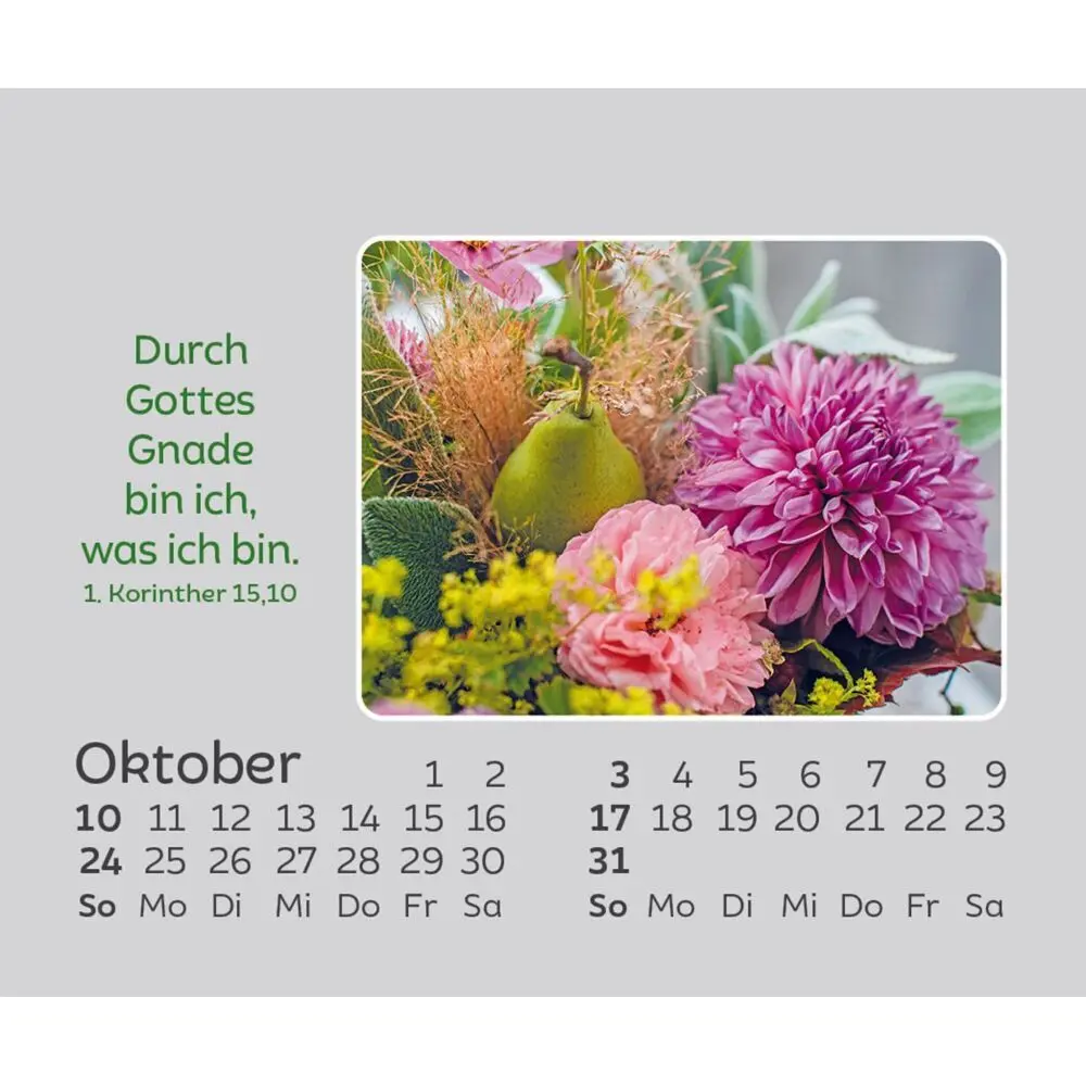 Bild: 9783754861073 | Freude für jeden Tag 2027 | Kalender | Spiralbindung | 14 S. | Deutsch