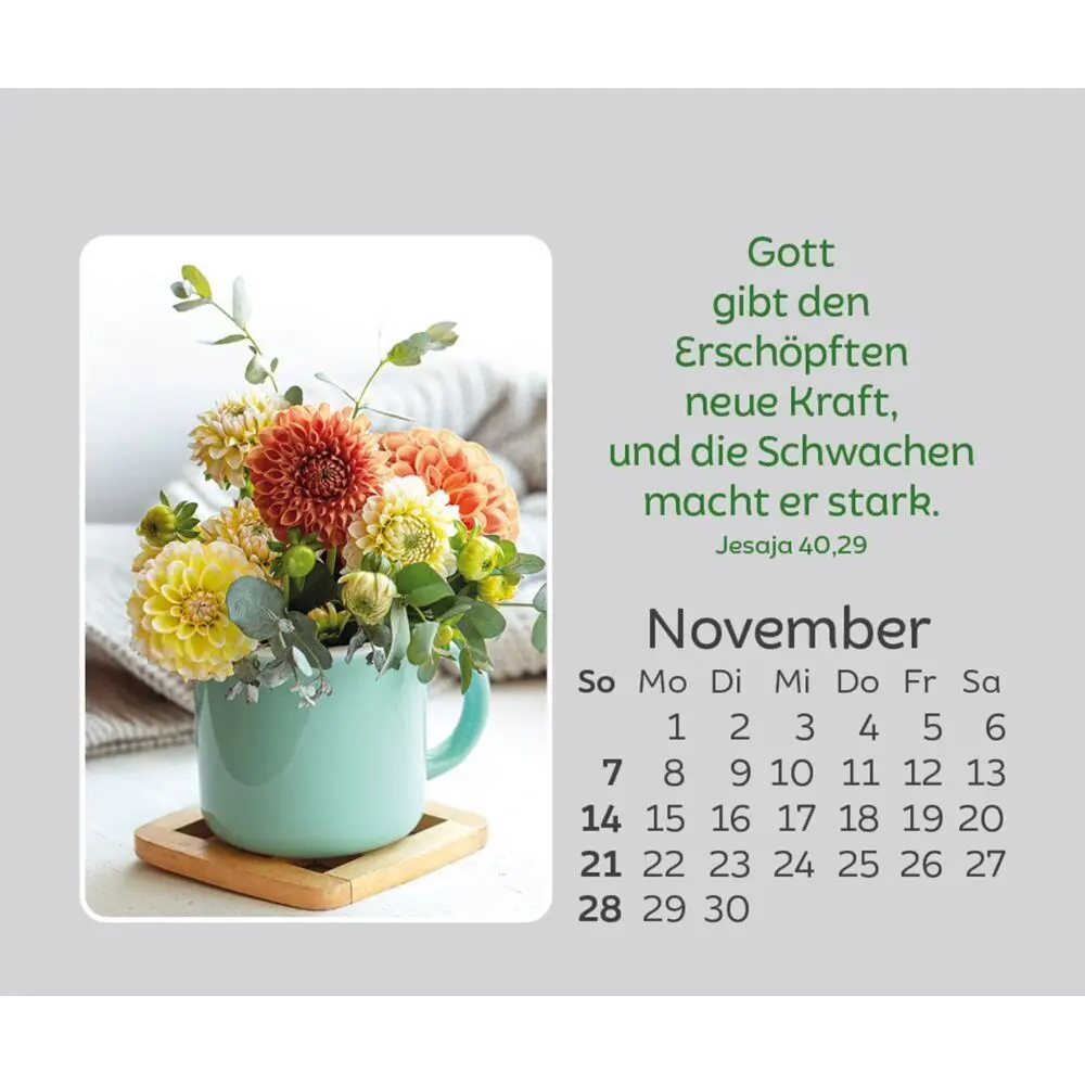 Bild: 9783754861073 | Freude für jeden Tag 2027 | Kalender | Spiralbindung | 14 S. | Deutsch