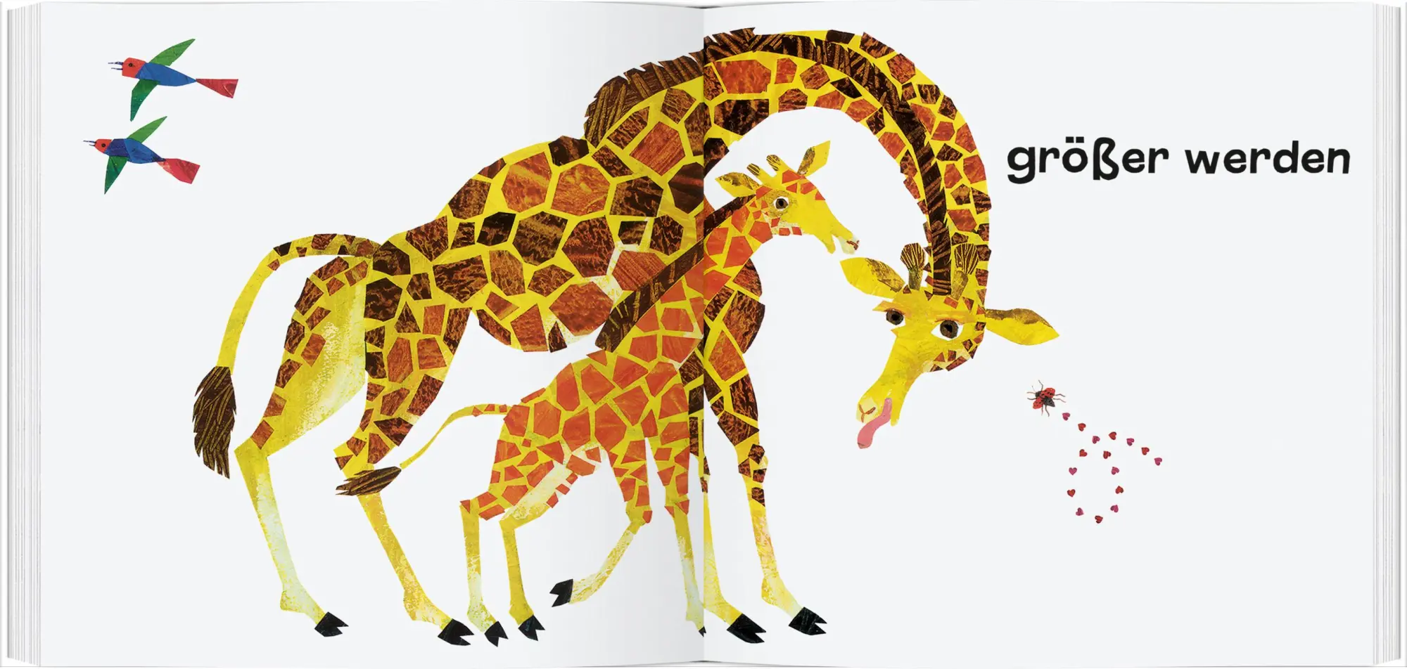Bild: 9783836961073 | Ein Kuss für den kleinen Käfer Immerfrech | Eric Carle | Buch | 32 S.