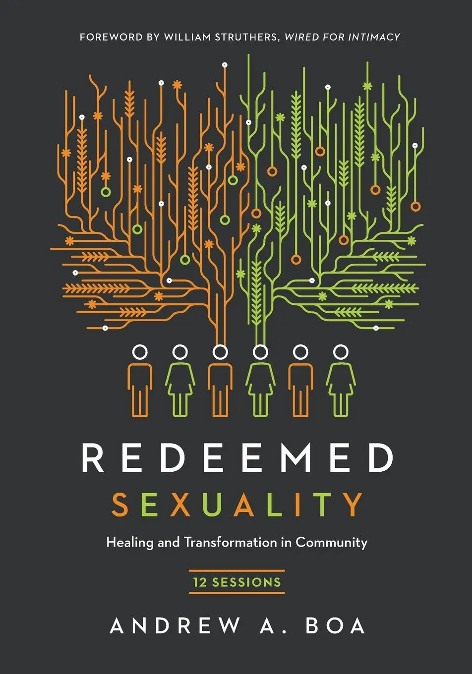 Cover: 9780830821273 | Redeemed Sexuality | Andrew A. Boa | Taschenbuch | Englisch | 2017