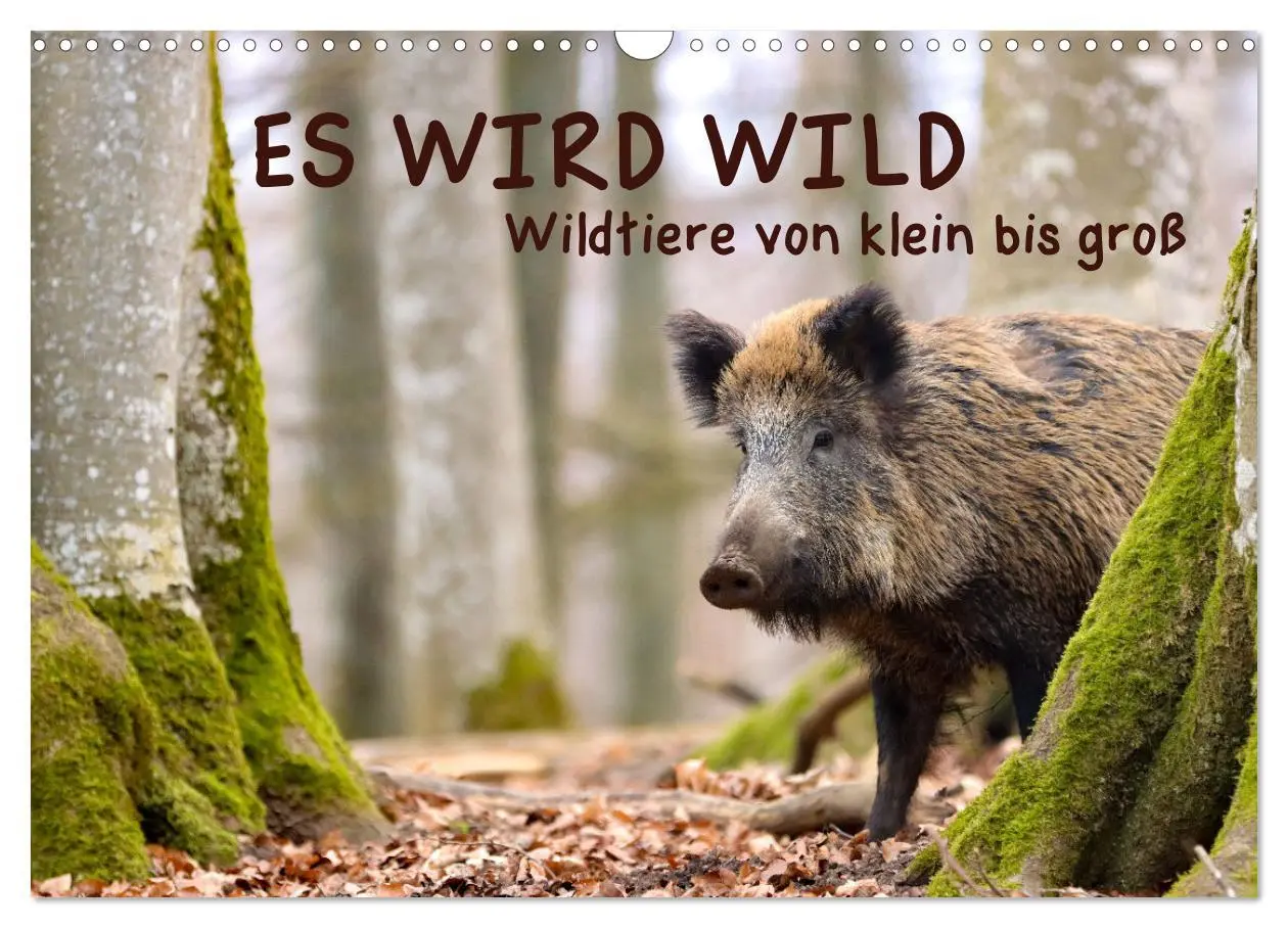 Cover: 9783457601273 | ES WIRD WILD Wildtiere von klein bis groß (Wandkalender 2026 DIN A3...