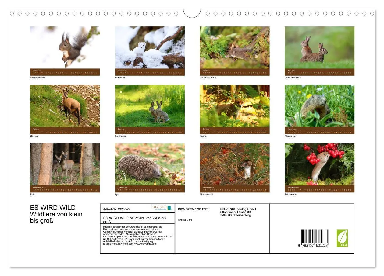 Bild: 9783457601273 | ES WIRD WILD Wildtiere von klein bis groß (Wandkalender 2026 DIN A3...