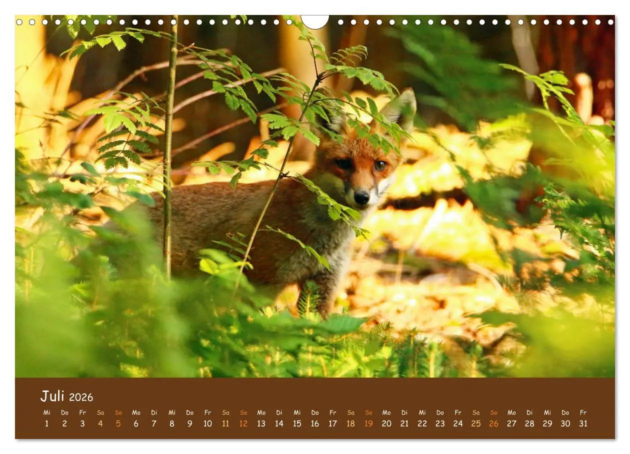 Bild: 9783457601273 | ES WIRD WILD Wildtiere von klein bis groß (Wandkalender 2026 DIN A3...