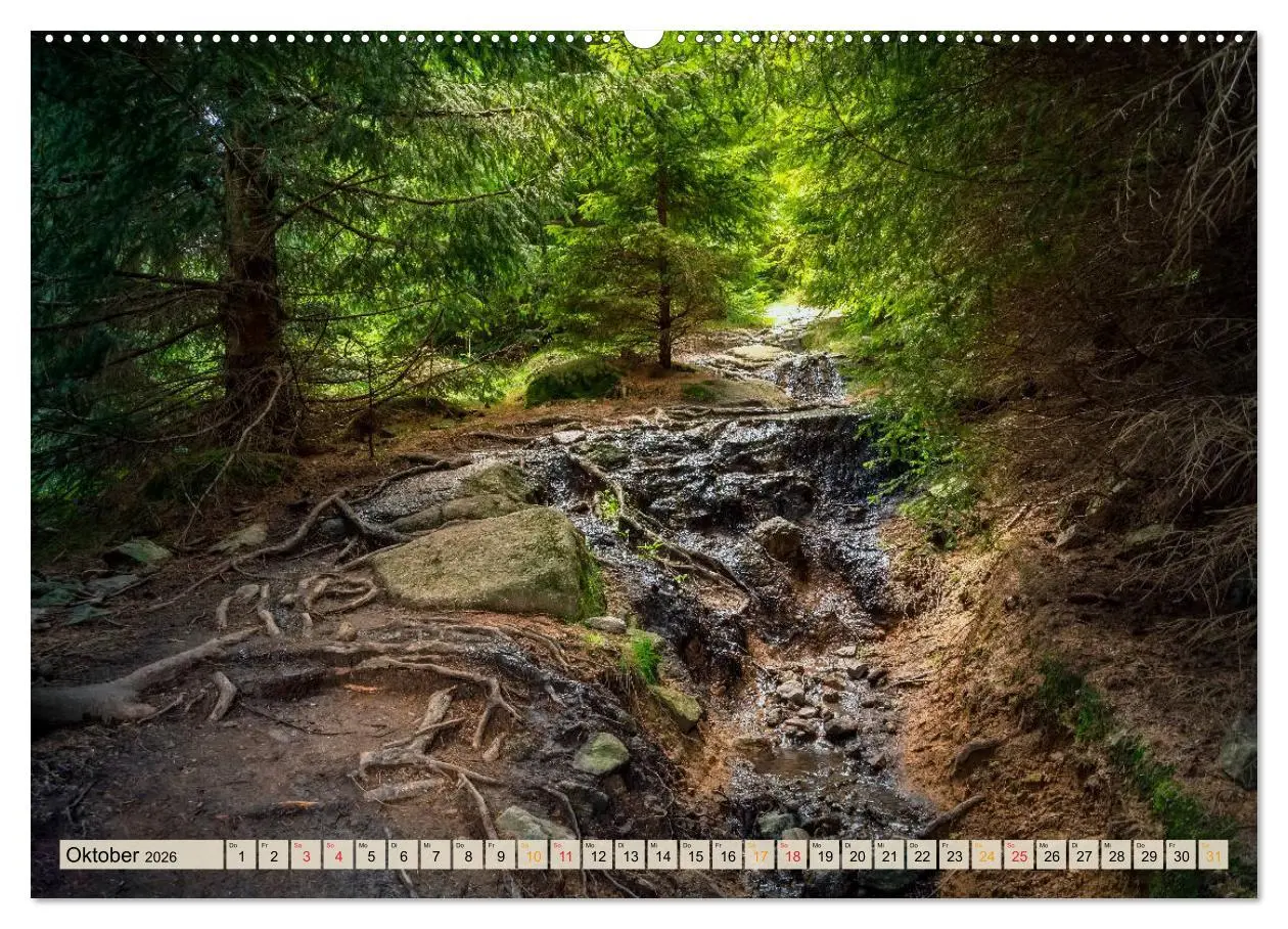 Bild: 9783457841273 | Deutschland - Nationalparks (Wandkalender 2026 DIN A2 quer),...