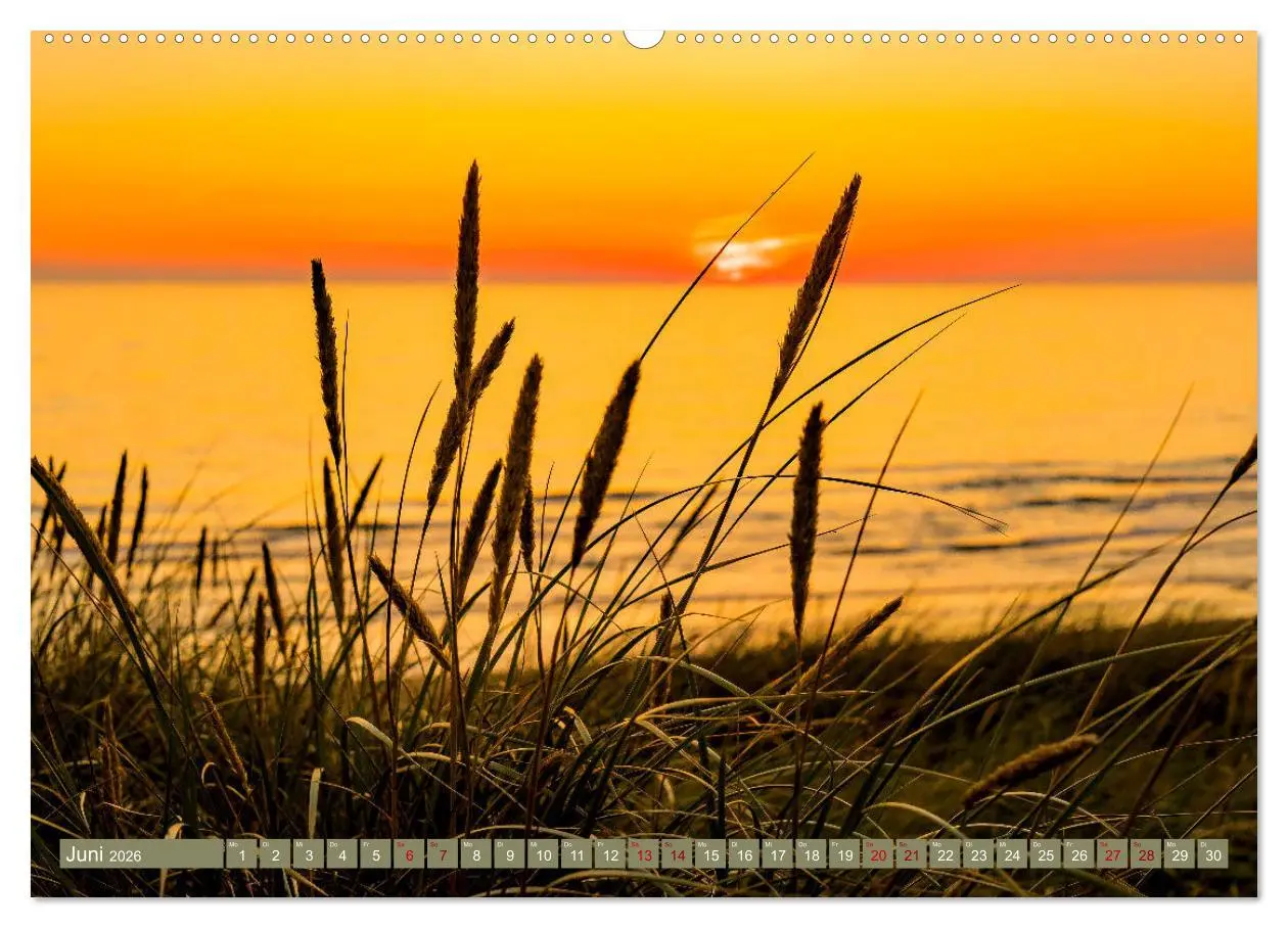 Bild: 9783457911273 | Inselliebe Langeoog (Wandkalender 2026 DIN A2 quer), CALVENDO...