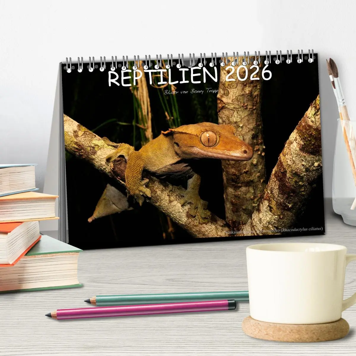 Bild: 9783516171273 | REPTILIEN (Tischkalender 2026 DIN A5 quer), CALVENDO Monatskalender