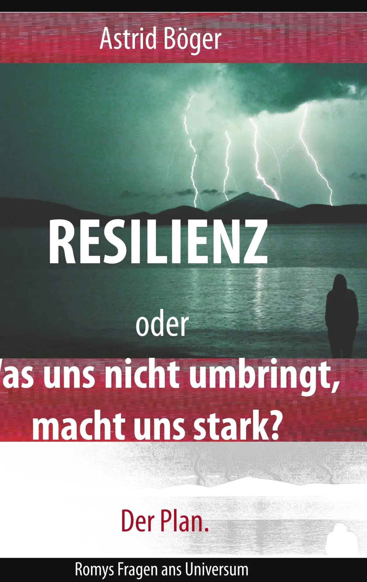 Cover: 9783748141273 | Resilienz oder Was uns nicht umbringt, macht uns stark? Der Plan.