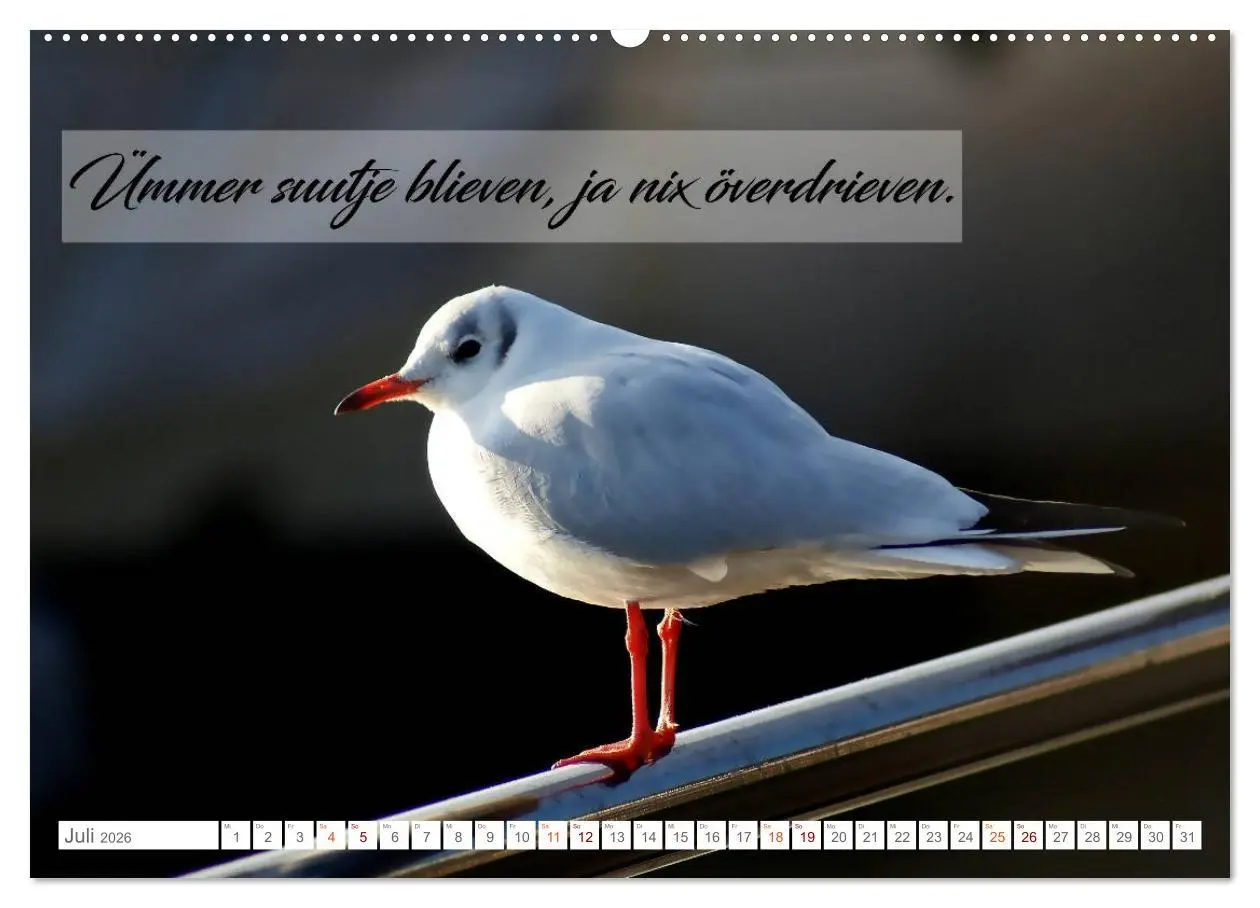 Bild: 9783457831373 | Plattdüütsche Sprökje 2026 (Wandkalender 2026 DIN A2 quer),...