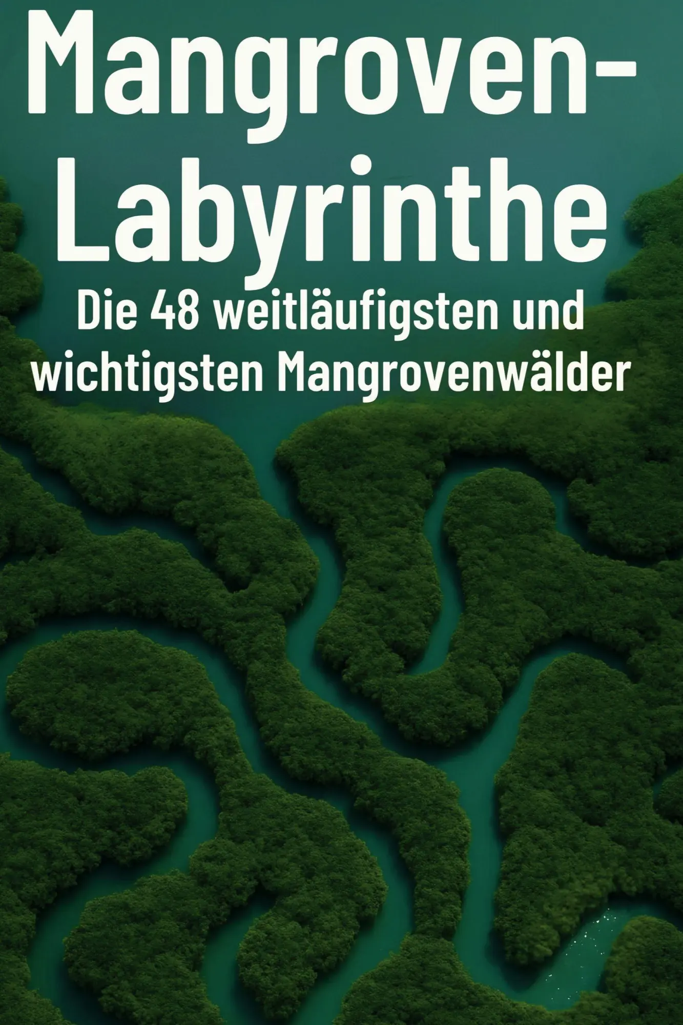 Cover: 9783695361373 | Mangroven-Labyrinthe | Liam Koch | Taschenbuch | 102 S. | Deutsch